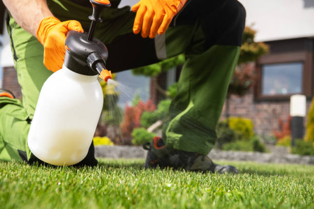 Best Best Pest Control Companies  in White Bear Lake, MN