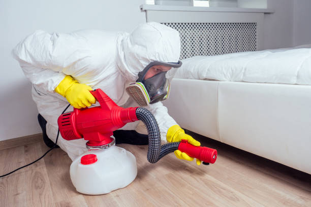 Best Affordable Pest Control Services  in White Bear Lake, MN