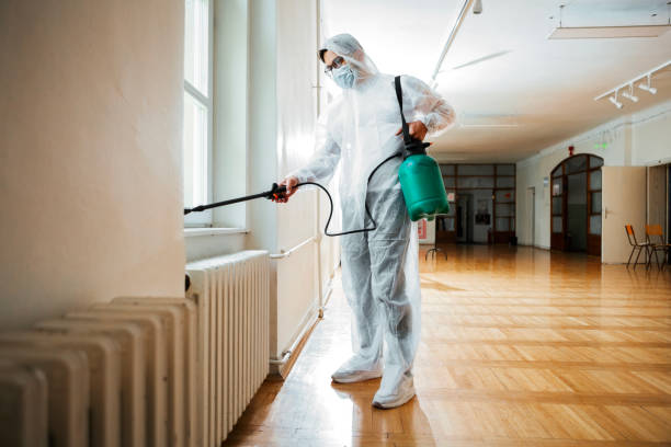Best Local Pest Control Services  in White Bear Lake, MN