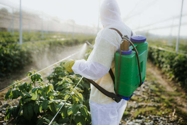 Best Termite Control Services  in White Bear Lake, MN